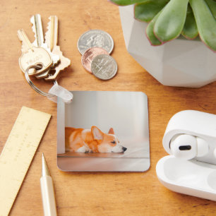 Cutest Baby Animals   Corgi Sleeping Key Ring