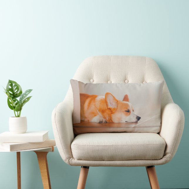 Cutest Baby Animals | Corgi Sleeping Lumbar Cushion (Chair)
