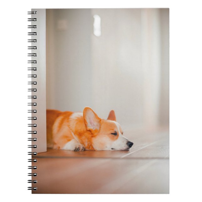 Cutest Baby Animals | Corgi Sleeping Notebook (Front)