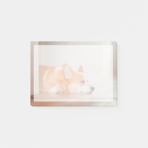Cutest Baby Animals Corgi Sleeping Post-it Notes
