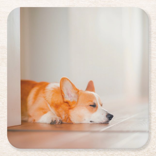 Cutest Baby Animals | Corgi Sleeping Square Paper Coaster (Front)