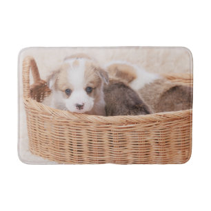 Cutest Baby Animals   Corgi Tiny Puppy Bath Mat