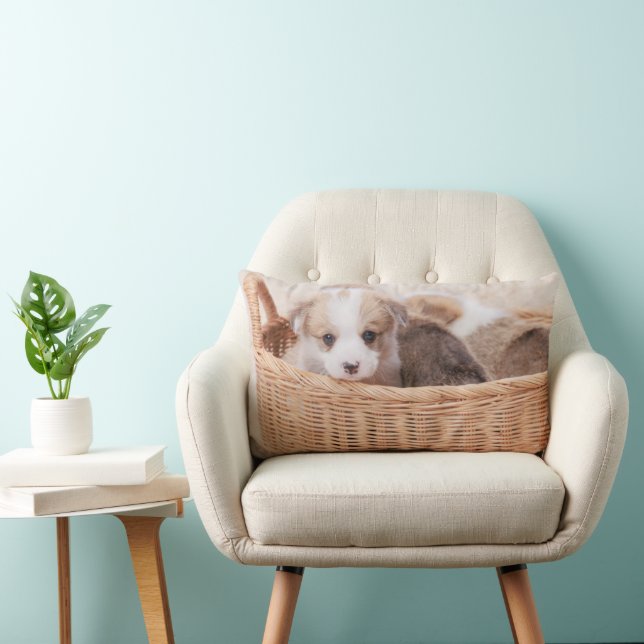Cutest Baby Animals | Corgi Tiny Puppy Lumbar Cushion (Chair)