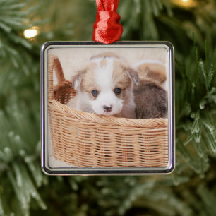 Cutest Baby Animals Corgi Tiny Puppy Metal Ornament
