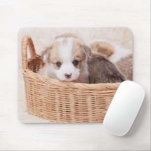 Cutest Baby Animals Corgi Tiny Puppy Mouse Pad