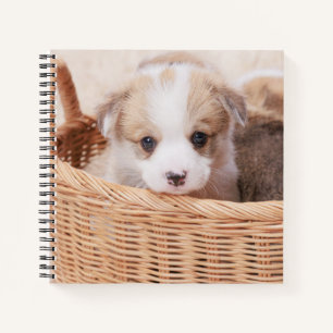 Cutest Baby Animals   Corgi Tiny Puppy Notebook