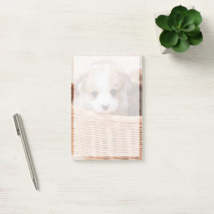 Cutest Baby Animals Corgi Tiny Puppy Post-it Notes