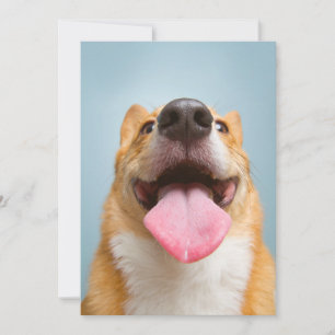 Cutest Baby Animals Corgi Tongue Thank You Card