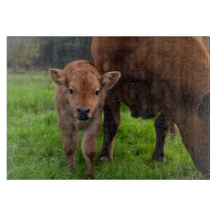 Cutest Baby Animals Cow & Calf Cutting Board