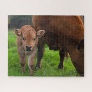 Cutest Baby Animals   Cow & Calf Jigsaw Puzzle