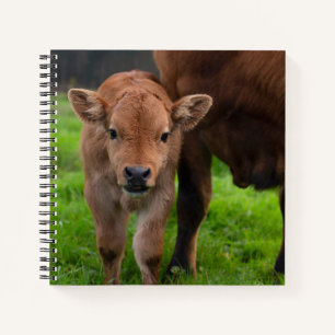 Cutest Baby Animals Cow & Calf Notebook