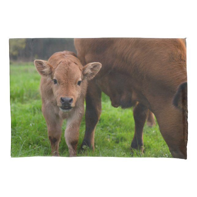 Cutest Baby Animals | Cow & Calf Pillowcase (Front)