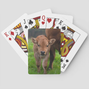 Cutest Baby Animals   Cow & Calf Playing Cards