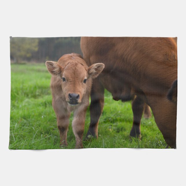 Cutest Baby Animals | Cow & Calf Tea Towel (Horizontal)