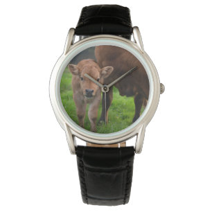 Cutest Baby Animals   Cow & Calf Watch
