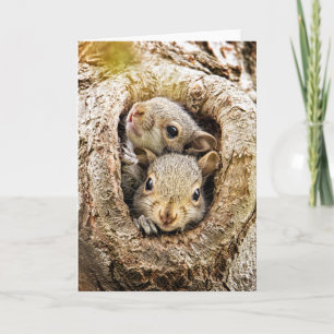 Cutest Baby Animals Curious Baby Squirrels Card