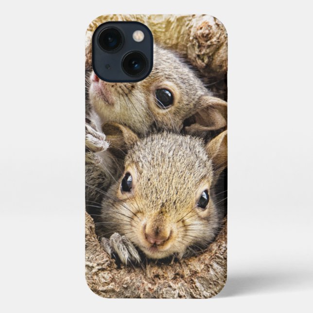 Cutest Baby Animals | Curious Baby Squirrels iPhone Case (Back)