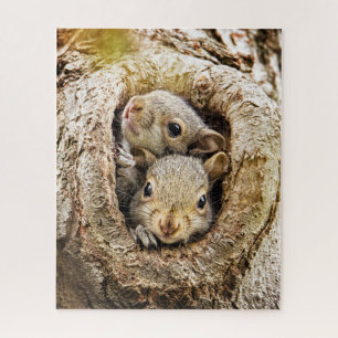 Cutest Baby Animals   Curious Baby Squirrels Jigsaw Puzzle