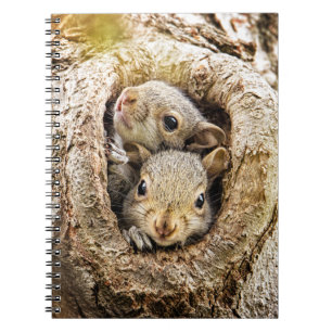 Cutest Baby Animals Curious Baby Squirrels Notebook