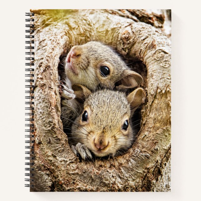 Cutest Baby Animals | Curious Baby Squirrels Notebook (Front)