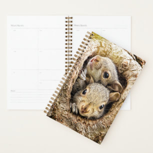 Cutest Baby Animals Curious Baby Squirrels Planner