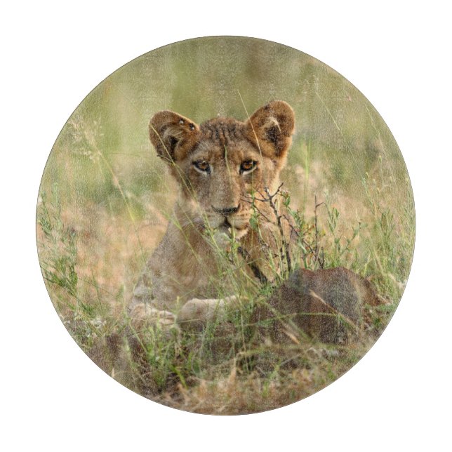 Cutest Baby Animals | Cute Baby Lion Cub Cutting Board (Front)