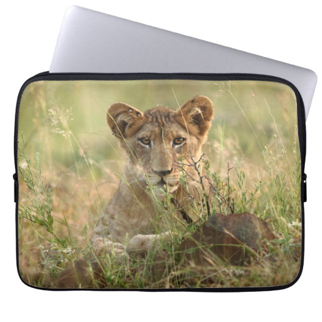 Cutest Baby Animals | Cute Baby Lion Cub Laptop Sleeve (Front)