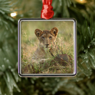 Cutest Baby Animals Cute Baby Lion Cub Metal Ornament