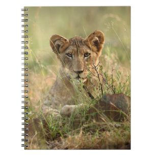 Cutest Baby Animals   Cute Baby Lion Cub Notebook