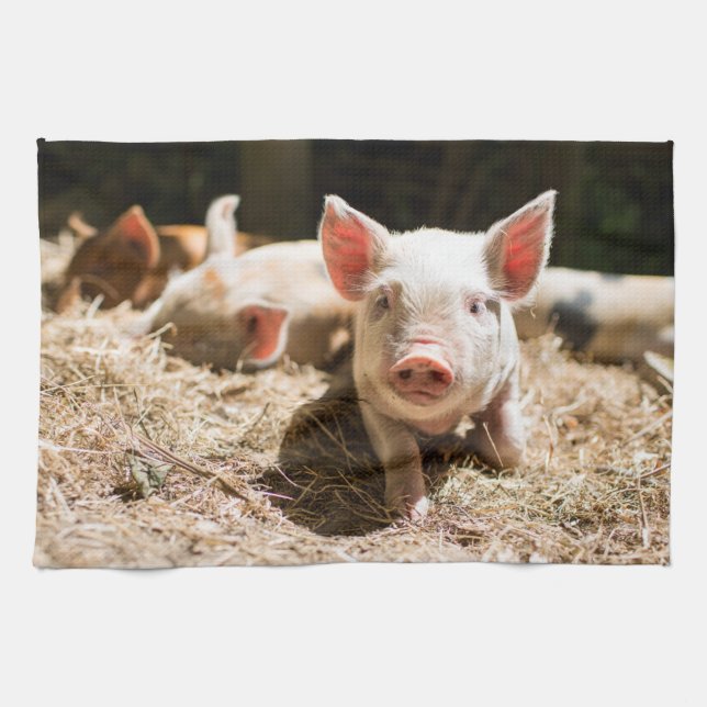 Cutest Baby Animals | Cute Baby Piglet Tea Towel (Horizontal)