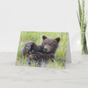 Cutest Baby Animals   Cute Brown Bear Cub Playing Card