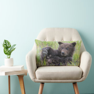 Cutest Baby Animals   Cute Brown Bear Cub Playing Lumbar Cushion