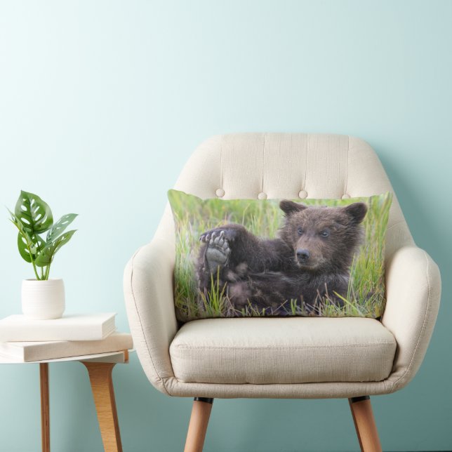 Cutest Baby Animals | Cute Brown Bear Cub Playing Lumbar Cushion (Chair)