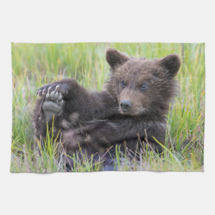 Cutest Baby Animals   Cute Brown Bear Cub Playing Tea Towel