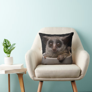 Cutest Baby Animals   Cute Bushbaby Cushion