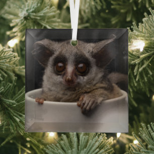 Cutest Baby Animals Cute Bushbaby Glass Tree Decoration