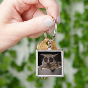 Cutest Baby Animals Cute Bushbaby Key Ring