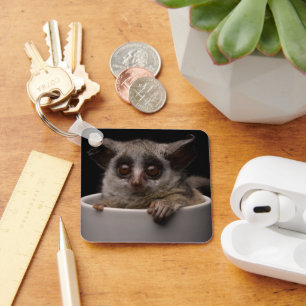 Cutest Baby Animals   Cute Bushbaby Key Ring