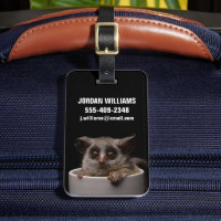 Cutest Baby Animals | Cute Bushbaby