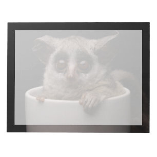 Cutest Baby Animals Cute Bushbaby Notepad