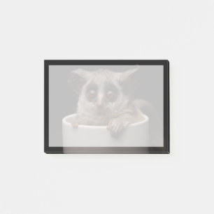 Cutest Baby Animals Cute Bushbaby Post-it Notes