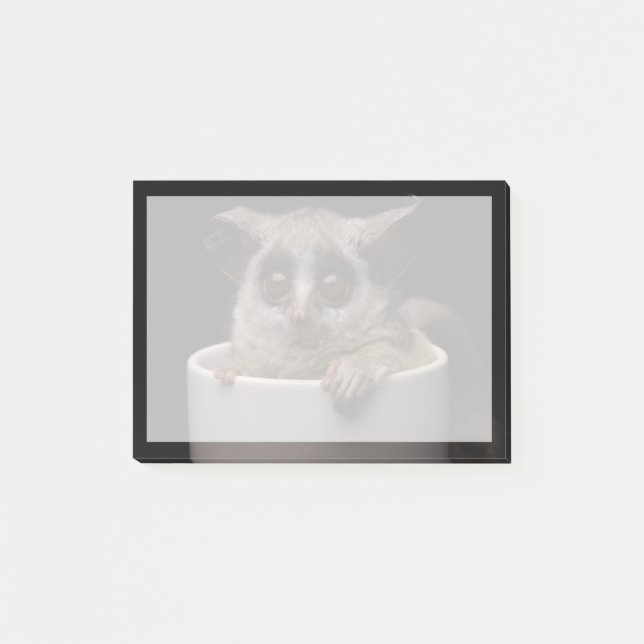 Cutest Baby Animals | Cute Bushbaby Post-it Notes (Front)