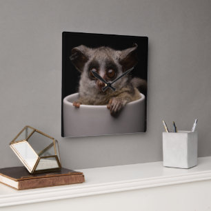 Cutest Baby Animals   Cute Bushbaby Square Wall Clock