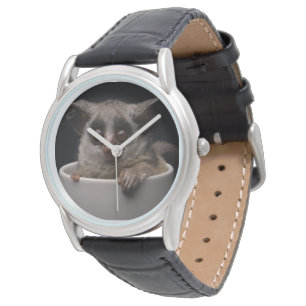 Cutest Baby Animals Cute Bushbaby Watch