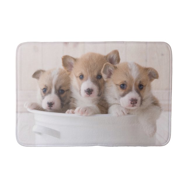 Cutest Baby Animals | Cute Corgi Puppies in a Pot Bath Mat (Front)