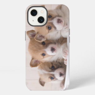 Cutest Baby Animals Cute Corgi Puppies in a Pot iPhone 13 Case