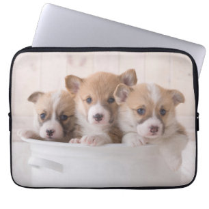 Cutest Baby Animals   Cute Corgi Puppies in a Pot Laptop Sleeve