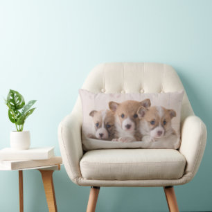 Cutest Baby Animals   Cute Corgi Puppies in a Pot Lumbar Cushion