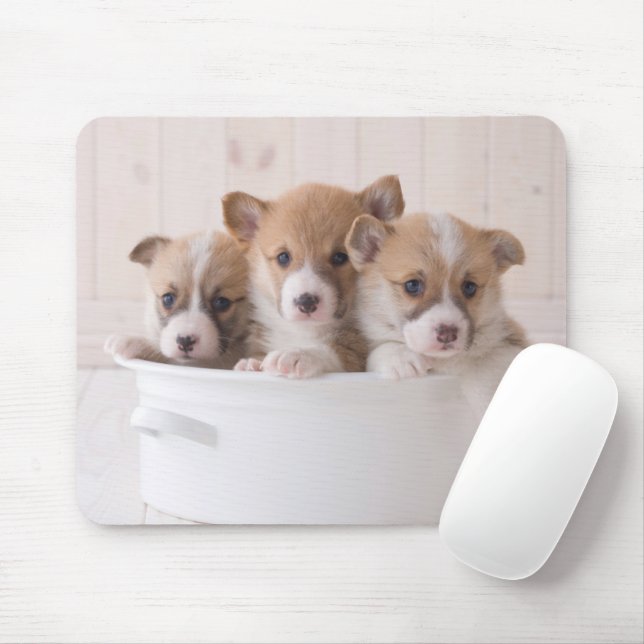 Cutest Baby Animals | Cute Corgi Puppies in a Pot Mouse Pad (With Mouse)