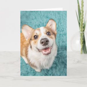 Cutest Baby Animals   Cute Corgi Puppy Smile Card